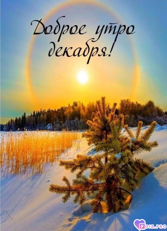 -11-декабря-25-утро-