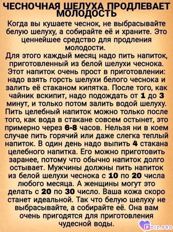 -Чудо-Чеснока-