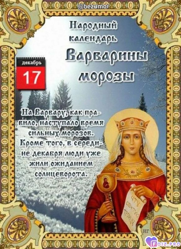 -Варварины-Морозы-