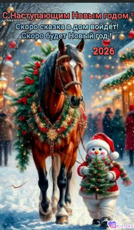 -Сказочная-2026-Ночка-