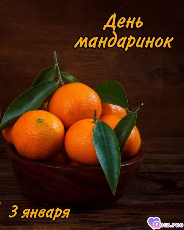 -День-Мандарипок-