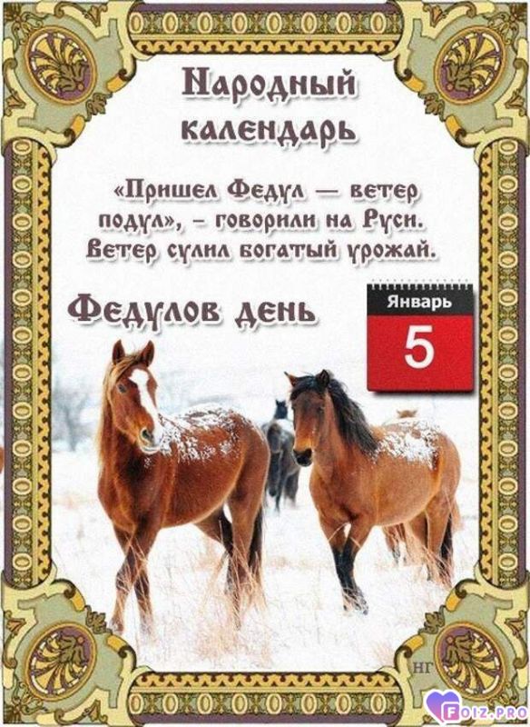 -Федулов-День-