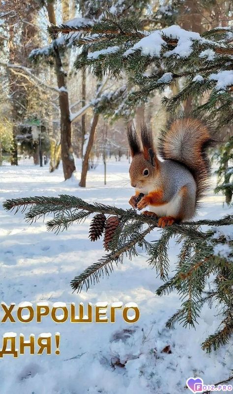 -Хорошего-Дня-