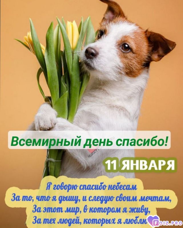 -День-Спасибо-2-