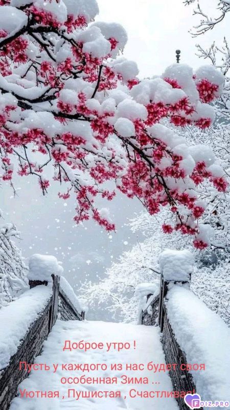 -Пушистая-Зима-