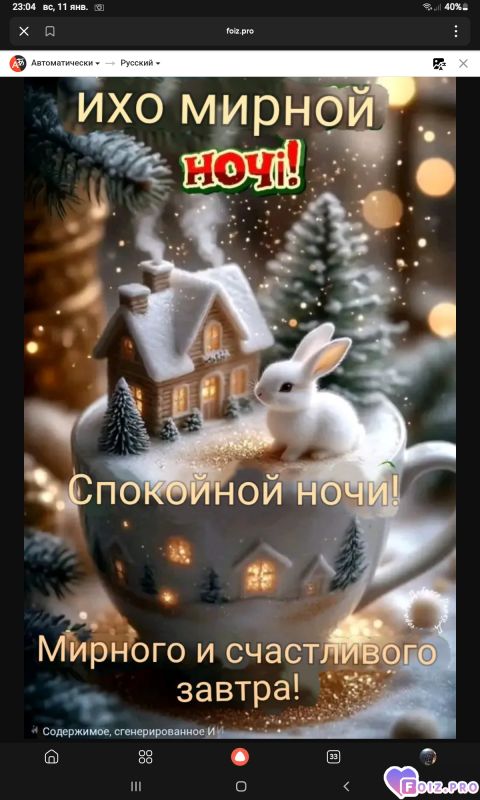 -Мирной-Ночи-