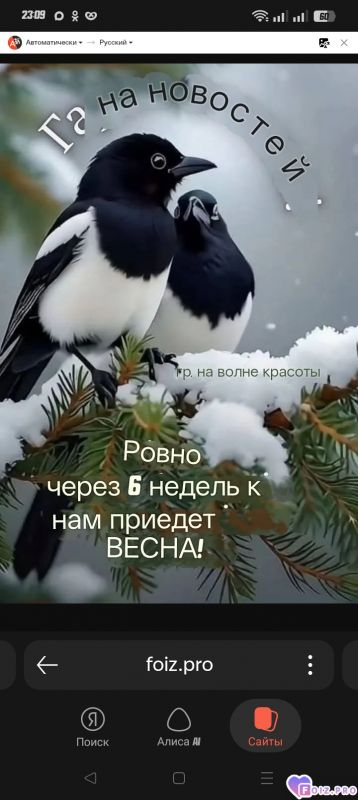-Через-6-недель-