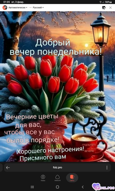 -Добрый-Вечер-