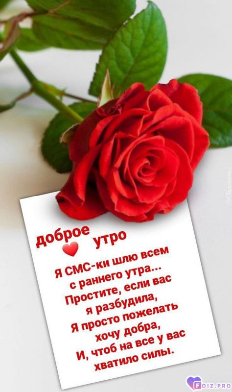 -Сообщение-