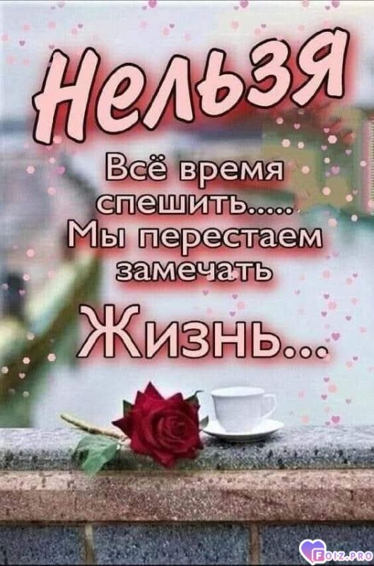 -Нельзя-Спешить-