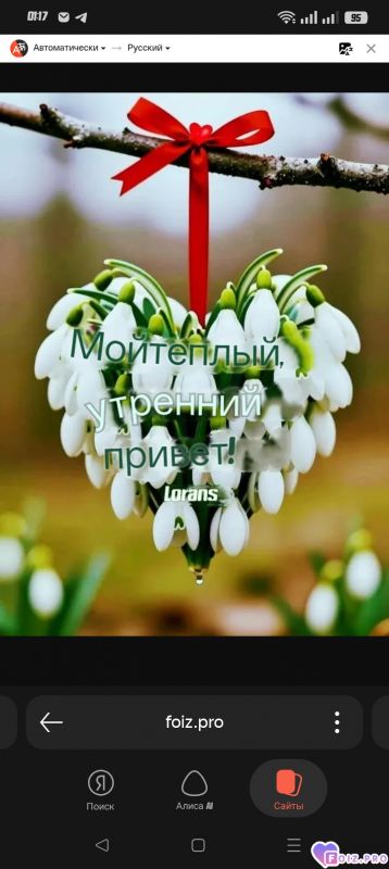 -Утро-Привет-