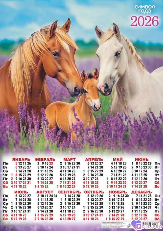 -Календарь-2026-