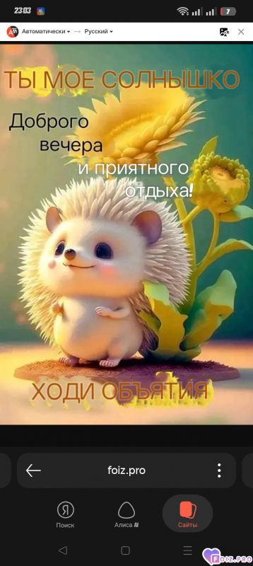 -Добрый-Вечер-