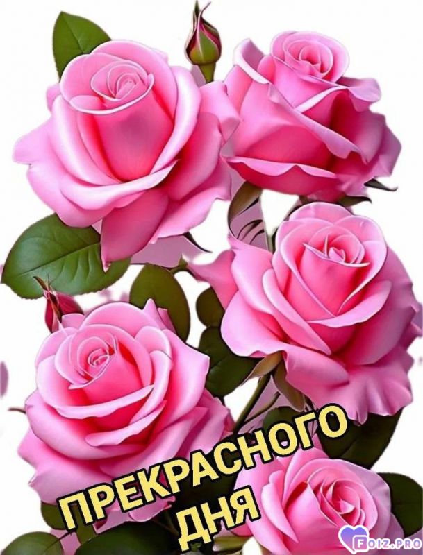 -Хорошего-Дня-