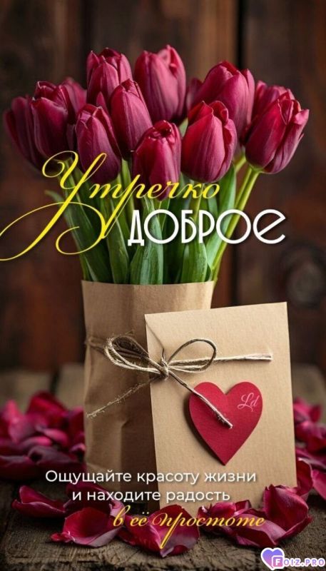 -Красота-Жизни-