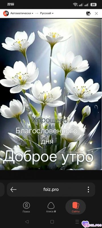 -Хорошего-Дня-