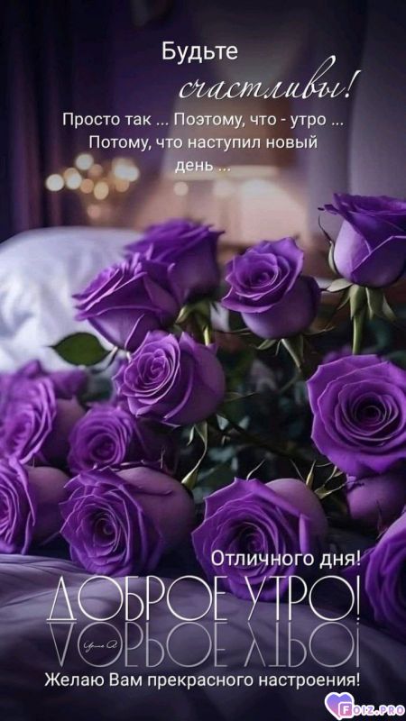 -Новый-День-