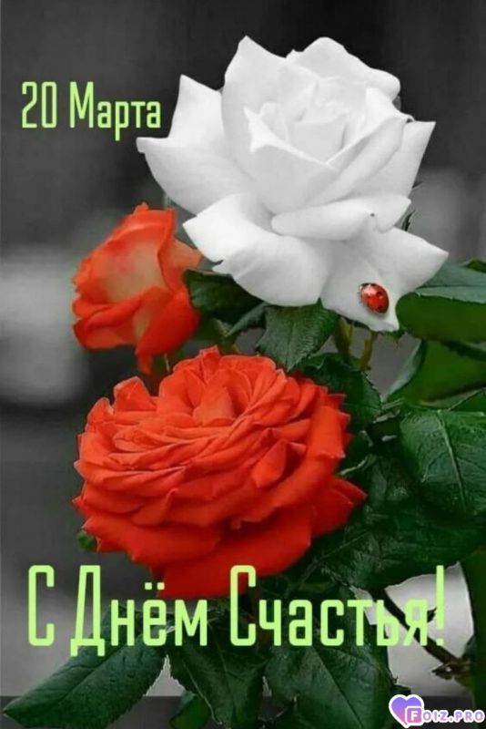 -День-Счастья-