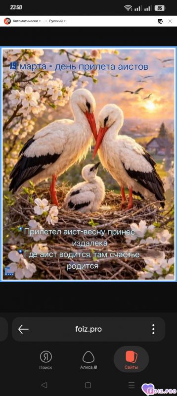 -Весна-Аист-