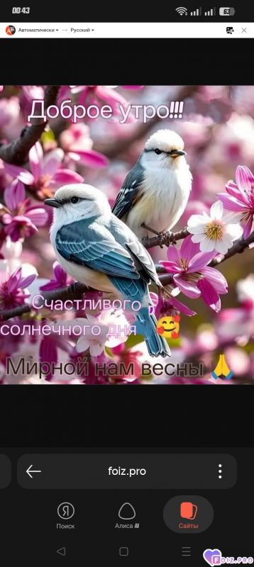 -Мирная-Весна-