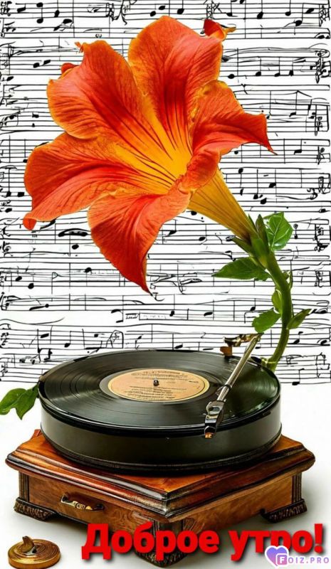 -Граммафон-