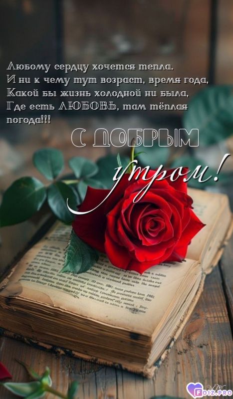 -Теплота-Сердца-