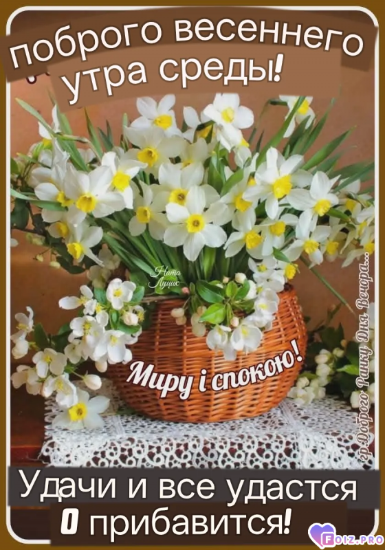 -Добрая-Среда-