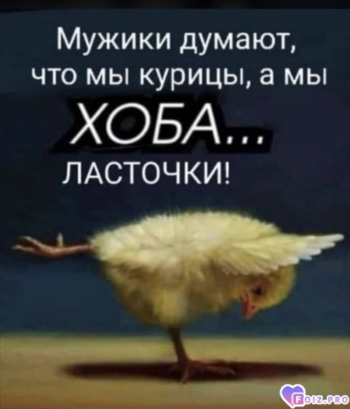 -106283-Ласточки-