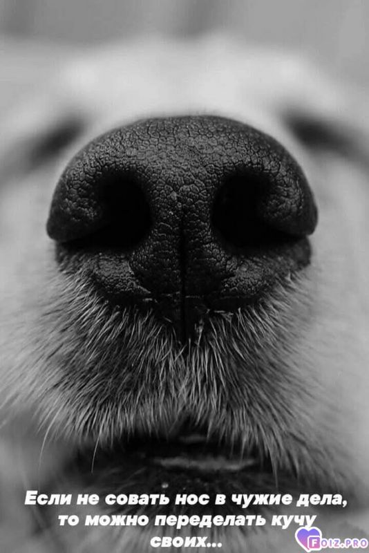 На заметку!