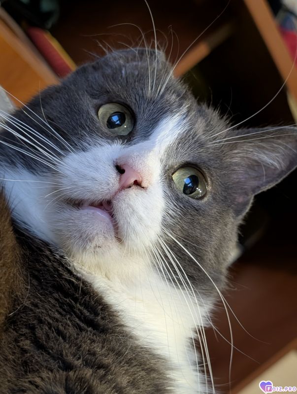 3849