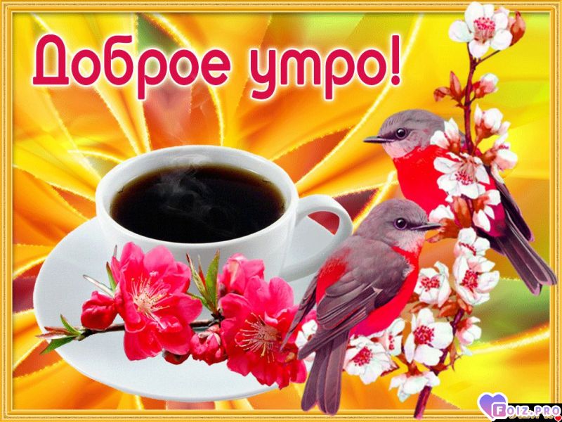 доброе утро