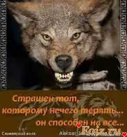 Александр50-id101009, 56 из г. Георгиевск