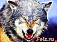 ОдИнОкИй__ВоЛк, 43 из г. Днепр