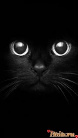 BLACK_CAT, 36 из г. Барыш