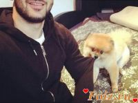 Обозреватель, 14 из г. Киев