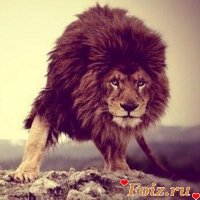 id107376, 39 из г. Москва