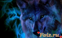 jeryde-id109113, 14 из г. Киев