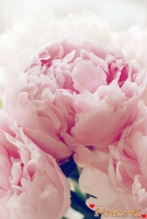 id111888, 40 из г. Харьков