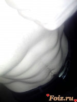 id113752, 81 из г. Москва