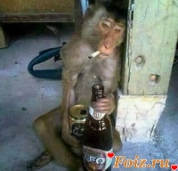 Ruzzzvelt-id114159, 45 из г. Киев