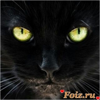 Black_Kat-id116114, 44 из г. Бровары