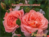 id117600, 34 из г. Бровары