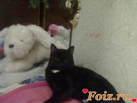 Енд-id120634, 37 из г. Киев