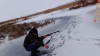 id120728, 14 из г. Борисполь