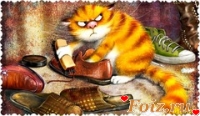 _котяра_-id121618, 37 из г. Киев