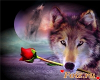 Кондр, 51 из г. Новотроицкое