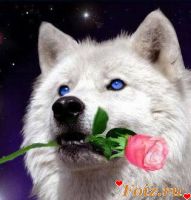 _VOVAN_-id128281, 40 из г. Днепр