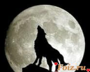 id128780, 41 из г. Киев