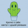 id130173, 37 из г. Днепр