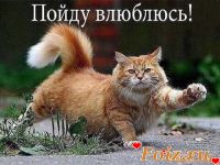 Сергей2-id130642, 46 из г. Белая Церковь
